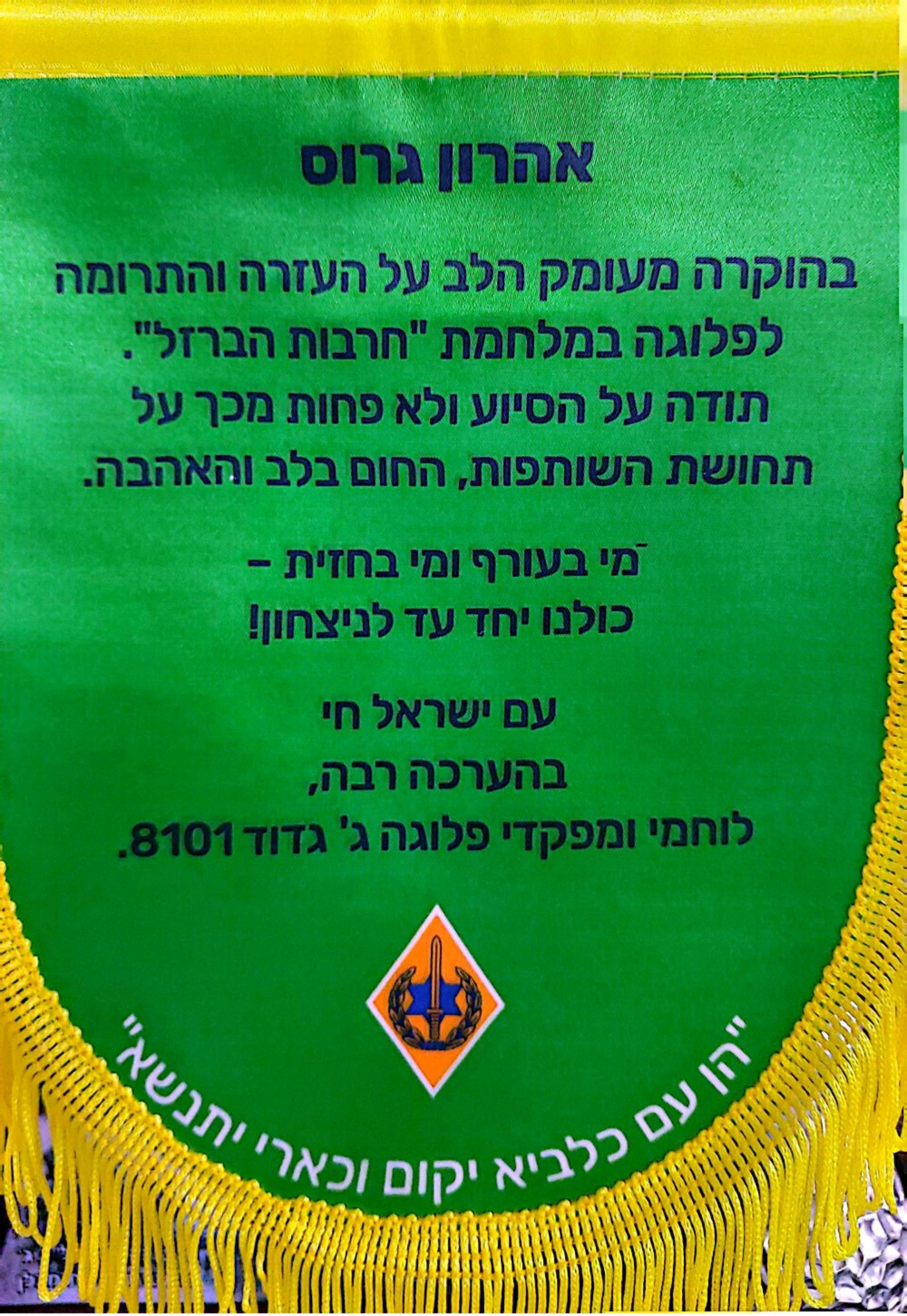 גדוד 8101