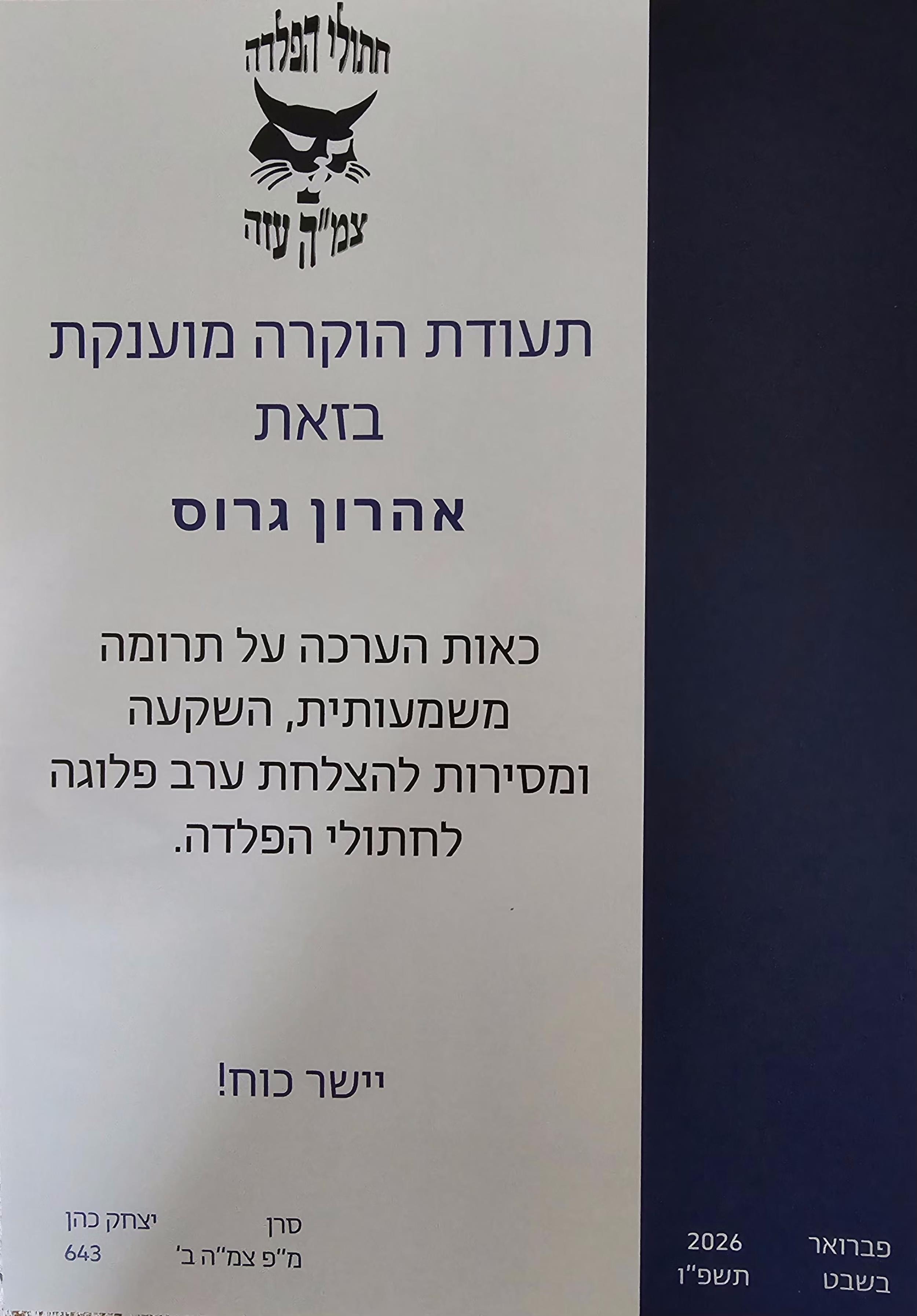 חתולי הפלדה צמ"ה עזה