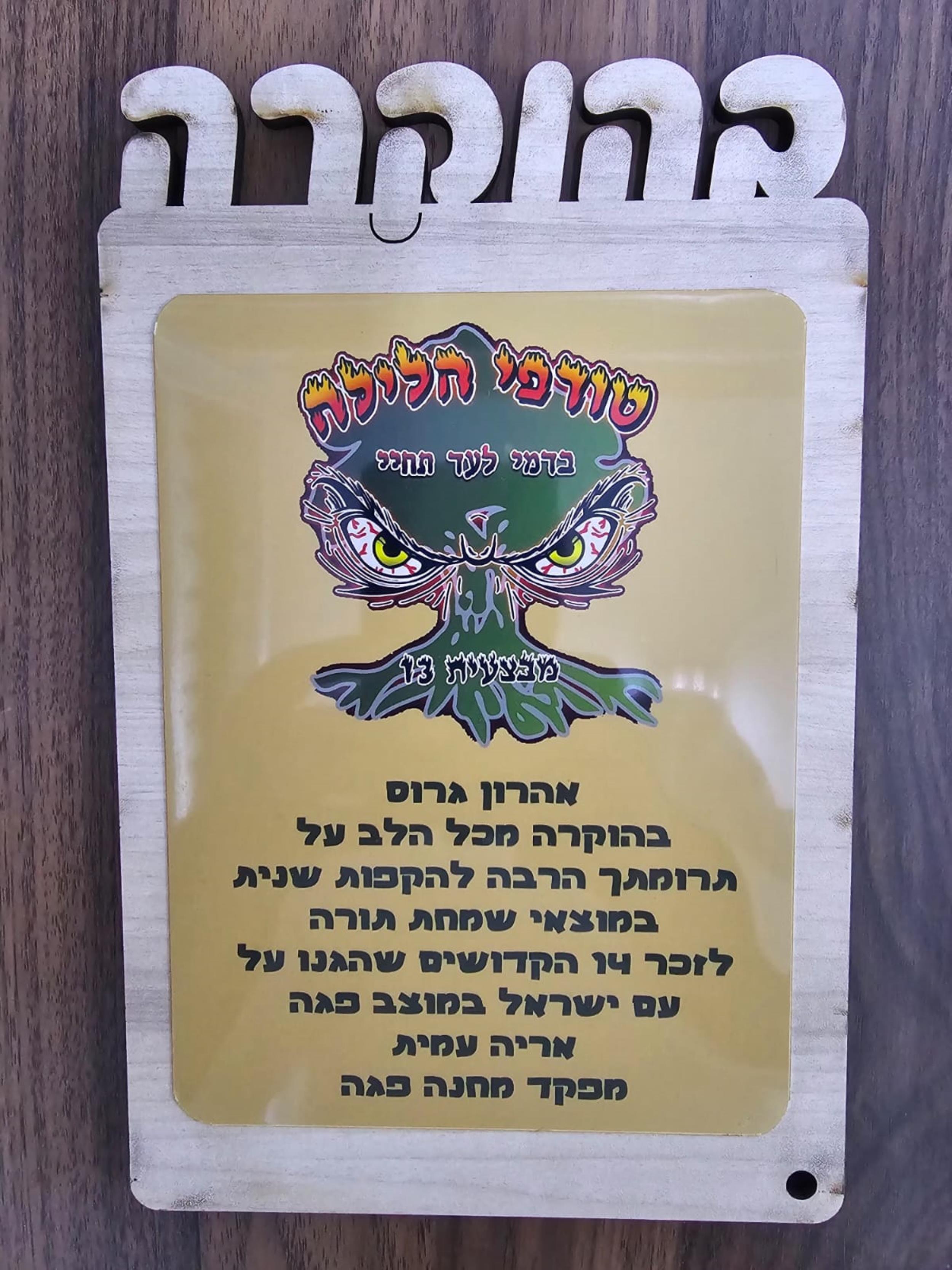 גולני טורפי הלילה מבצעית 13