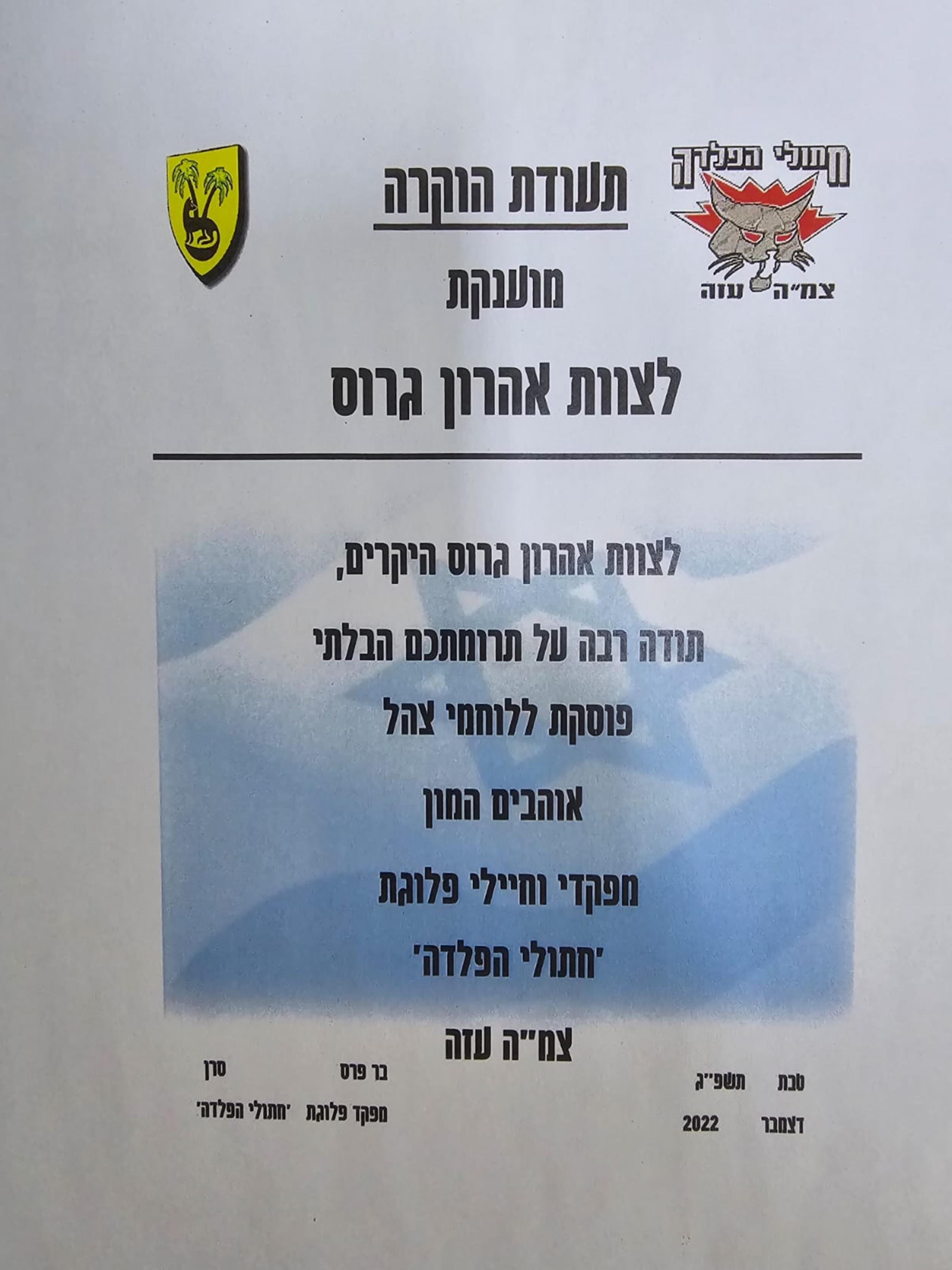 צמה עזה חתולי הפלדה