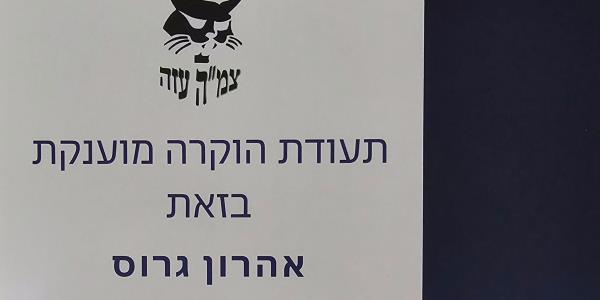 חתולי הפלדה צמ"ה עזה