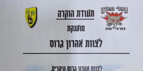 צמה עזה חתולי הפלדה