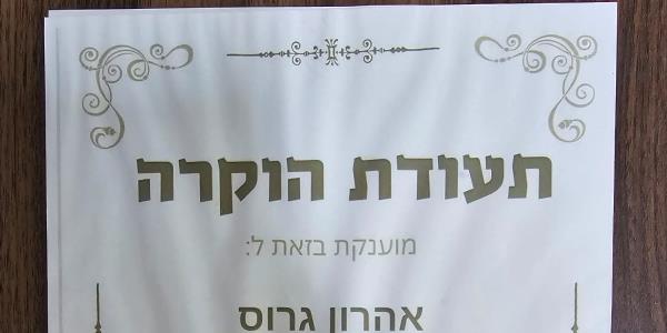 תותחנים גדוד 55